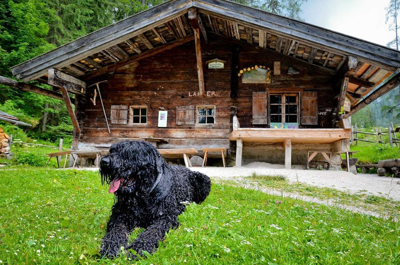 Pension Greti Шёнау-ам-Кёнигсзе Экстерьер фото